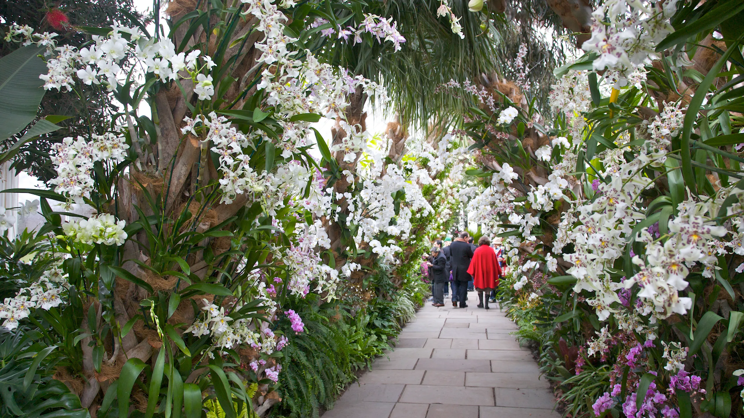 This Spring, Fall in Love with 6 Unforgettable Travel Experiences