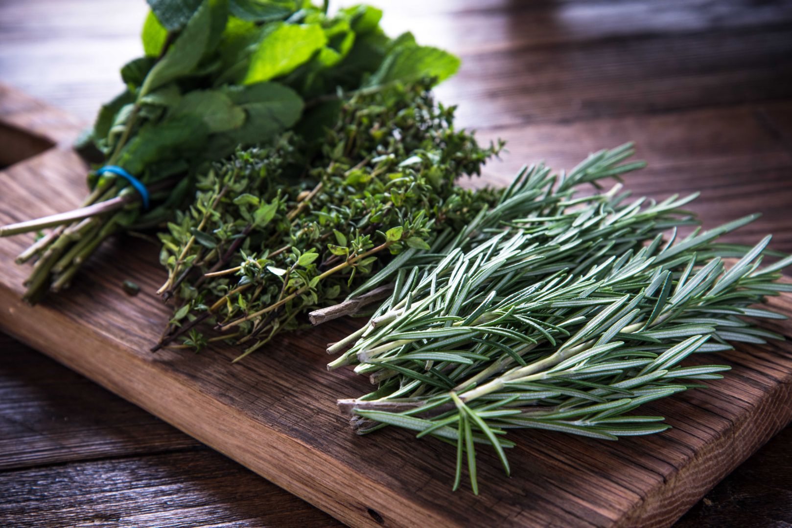 Herbs That Heal: Start Using These Herbs Now